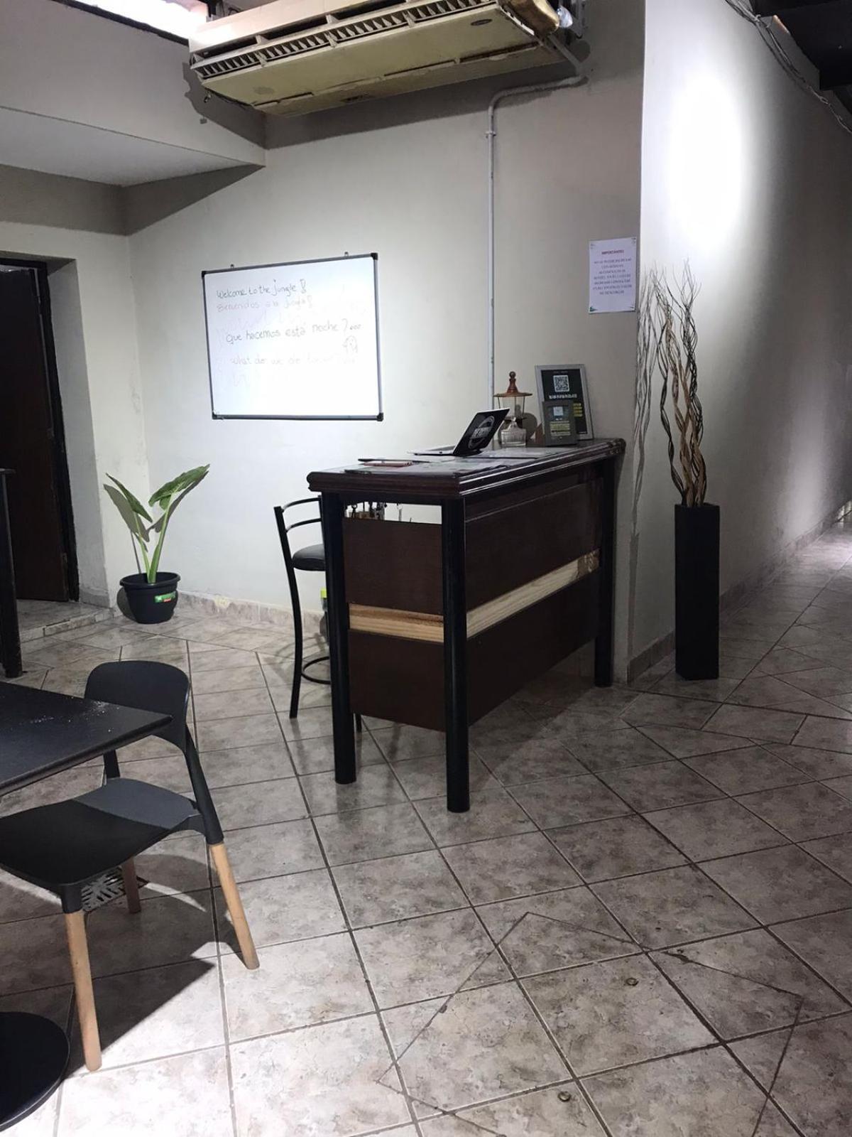 Urban Jungle Hostel San Miguel de Tucumán Buitenkant foto